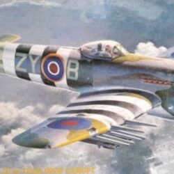 TYPHOON Mk.IB w/ TEAR DROP CANOPY – HASEGAWA 1:48